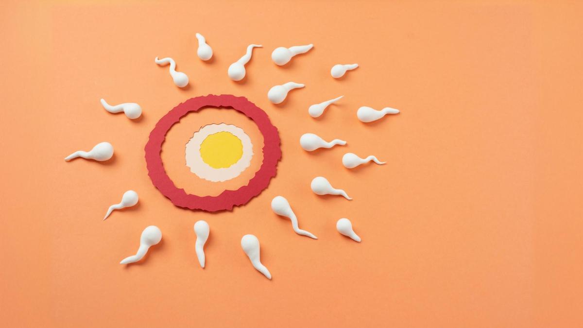 Siap Punya Anak Setelah Egg Freezing, Begini Tahapan Penggunaan Sel Telur Beku untuk Promil