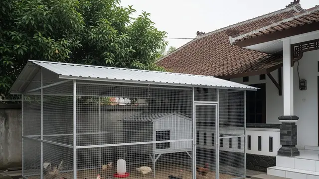 Desain Umbaran Ayam di Samping Rumah Tanpa Mengganggu Tetangga