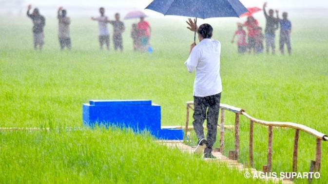 Presiden Jokowi bersama Menteri Pekerjaan Umum dan Perumahan Rakyat (PUPR) Basuki Hadimuljono meninjau kawasan food estate di NTT (dok: PUPR)