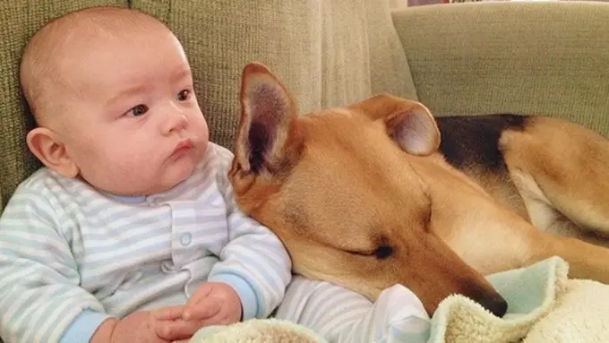 Foto : copyright dailymail.co.uk