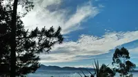 Awan berserak dengan komposisi artistik pohon pinus dan langit biru, adalah anugerah Cikole di pagi hari. (foto : Liputan6.com/Edhie Prayitno Ige)