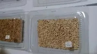Mahasiswa UNY membuat beras analog dari ubi talas yang aman dikonsumsi pengidap diabetes (Liputan6.com/ Switzy Sabandar)