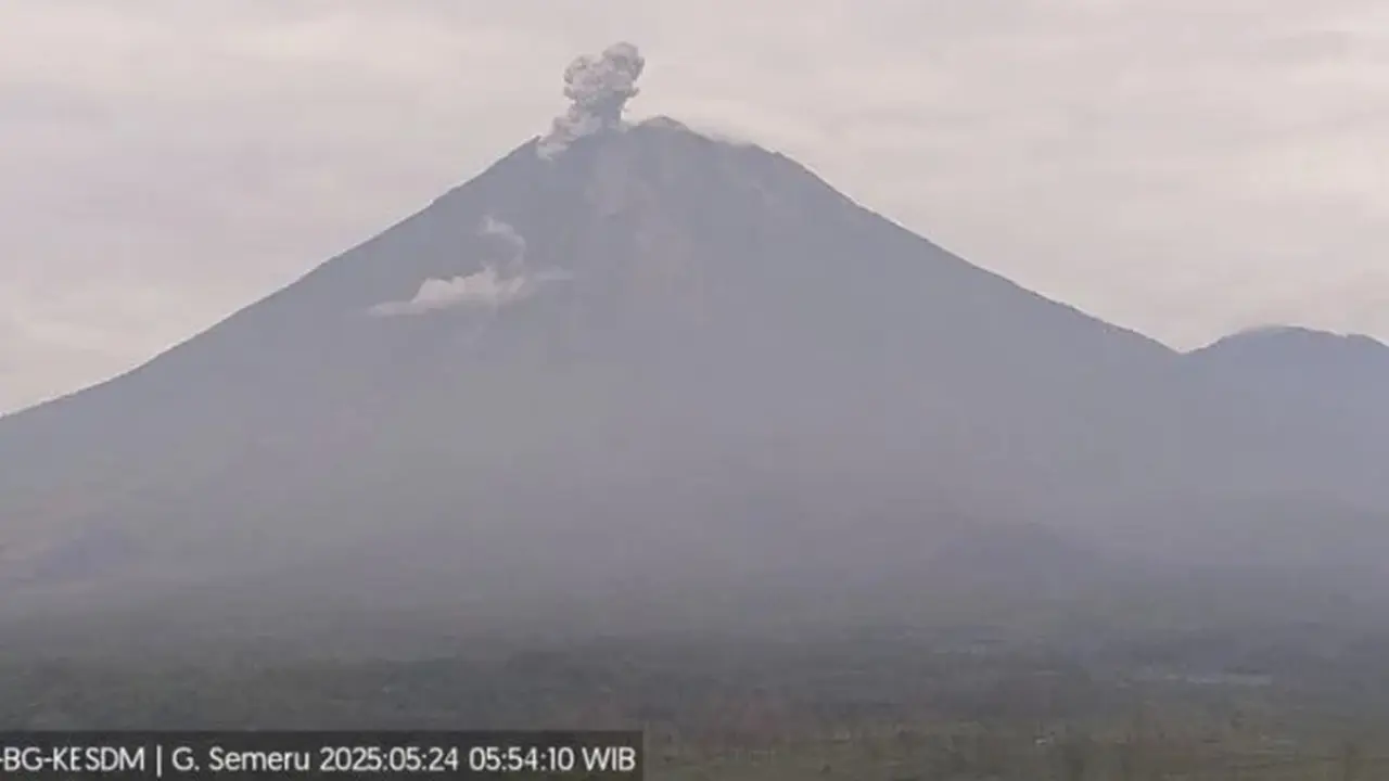 Gunung Semeru erupsi empat kali, tinggi letusan mencapai 800 meter (Istimewa)