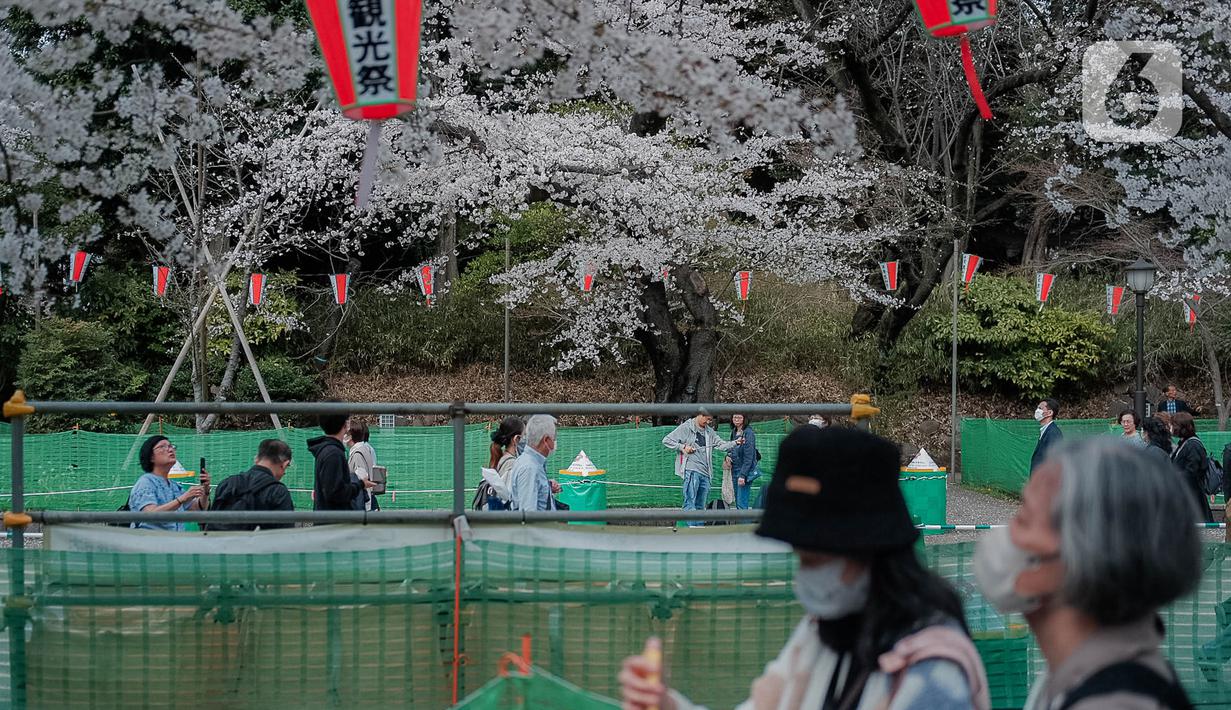 Para pengunjung menikmati sakura mekar di Taman Ueno, Tokyo, Sabtu (25/3/2023). Memasuki musim semi di Jepang, warga hingga turis mancanegara berbondong-bondong menikmati keindahan dari bunga sakura yang mekar. (Liputan6.com/Faizal Fanani)
