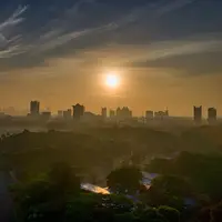 Pemprov DKI Jakarta luncurkan website rendah emisi yang diharap dapat mewakili visi hijau Jakarta. (Pexels/Tom Fisk)