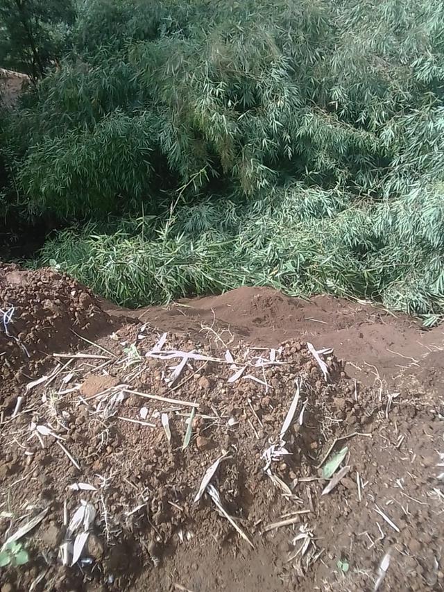 Longsor menutup akses jalan utama antara Banjarnegara menuju objek wisata Dieng dan sebaliknya. (Foto: Liputan6.com/RAPI BNA/ Muhamad Ridlo)