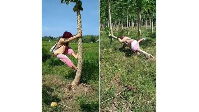 6 Aksi Kocak Emak-Emak saat di Sawah Ini Bikin Elus Dada