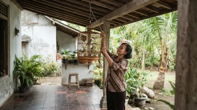 Cara Mencegah Ular Masuk Rumah