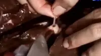 Hati Sapi Bercacing hingga Ngabuburit Bersama Anak Panti Asuhan