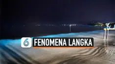 THUMBNAIL FENOMENA