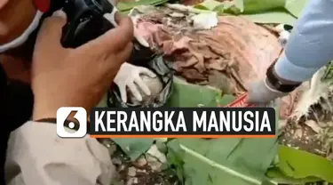 kerangka manusia