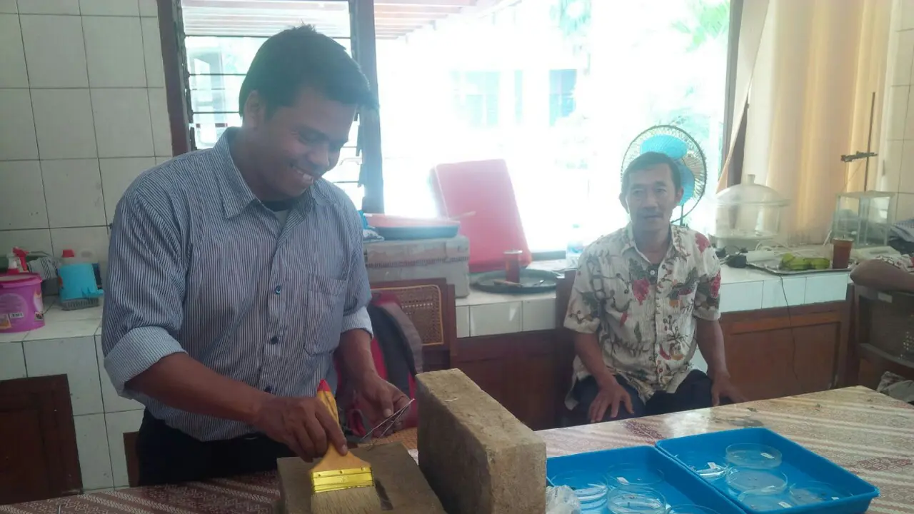 BPCB Temukan 10 Kotak Batu Berisi Lempeng Emas di Prambanan 