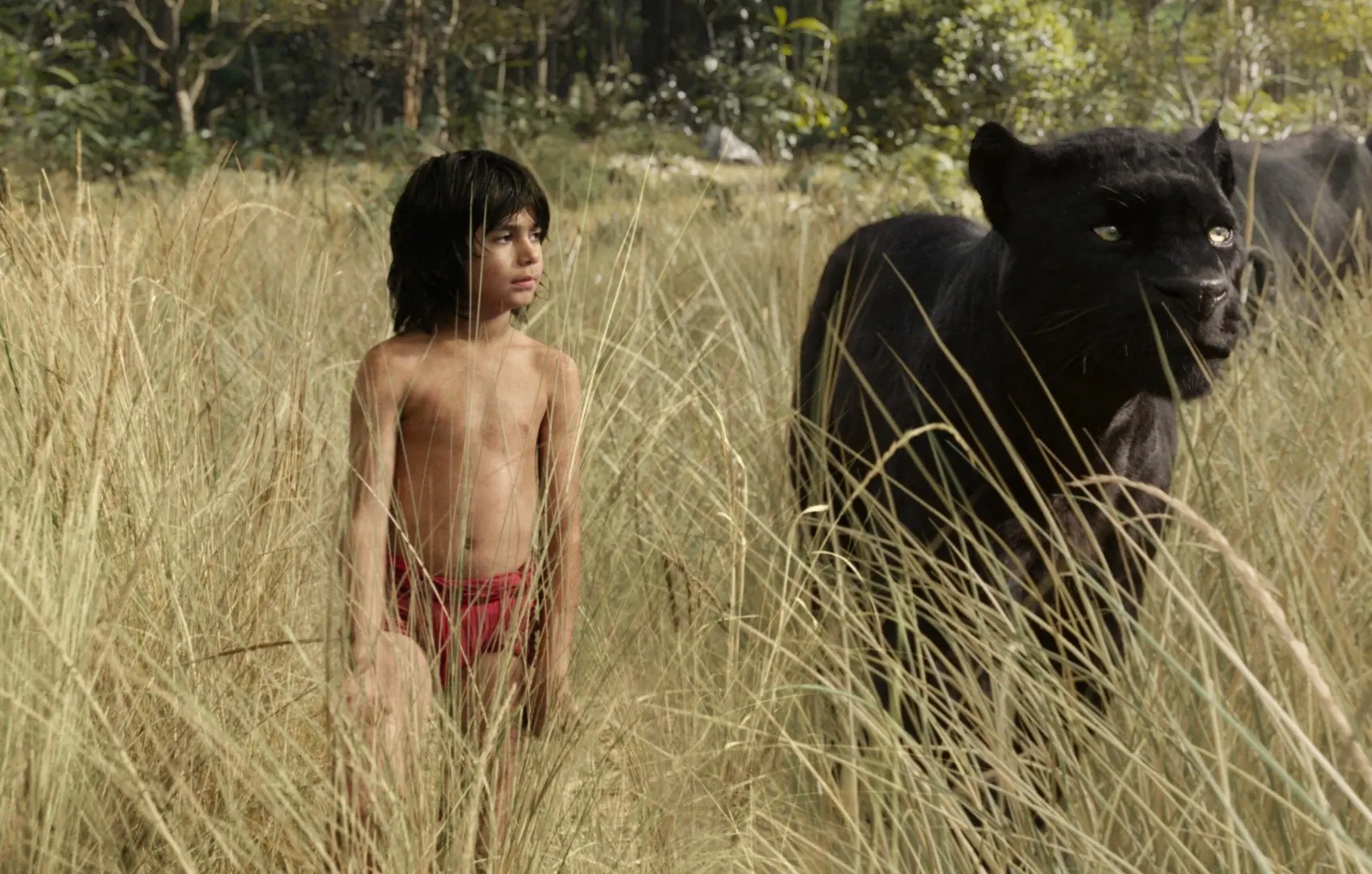 The Jungle Book