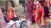 Momen unik pernikahan anjing yang digelar meriah dengan dihadiri 500 tamu undangan. (Sumber: Twitter/Hatindersinghr3)