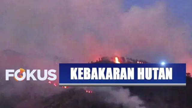 BPBD dan petugas Suwanting menurunkan 102 pendaki gunung akibat hutan Gunung Merbabu terbakar.