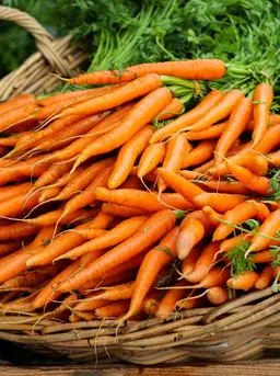 Manfaat Mengonsumsi Wortel bagi Anak yang Penting Diketahui Orangtua