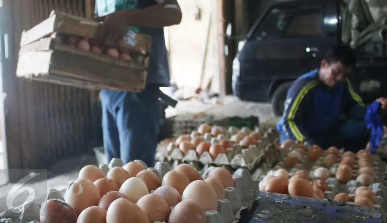 Pekerja mengankat peti telur ayam diagen, Jakarta, Senin (27/3). Pemerintah dinilai lamban mengatasi kondisi kelebihan pasokan ayam hidup dan telur, menyebabkan harga jatuh di tingkat peternak. (Liputan6.com/Angga Yuniar)