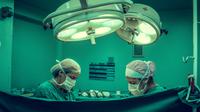 Ilustrasi donor organ tubuh | pexels.com/@vidalbalielojrfotografia