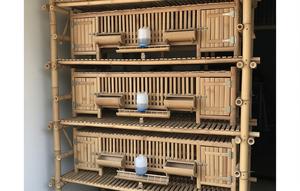 Kandang Vertikal Kombinasi Bambu (Ekonomis). Foto: Gemini