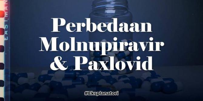 VIDEO: Mencari Perbedaan Obat Covid-19 Molnupiravir dan Paxlovid