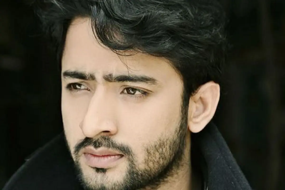 Shaheer Sheikh
