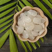 ilustrasi kolang kaling/Herman Suparman/shuttetstock