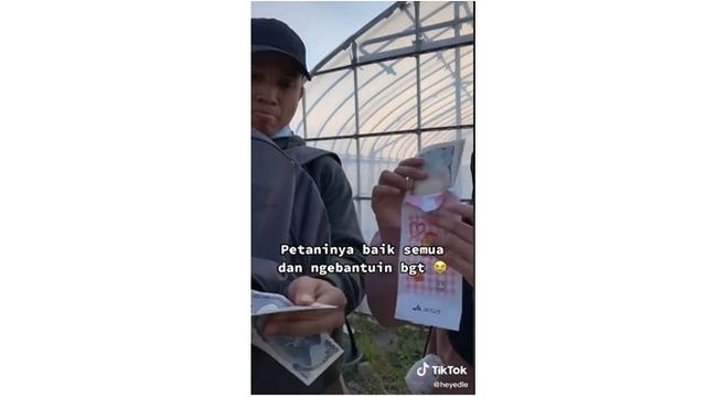 Kerja Paruh Waktu Jadi Petani di Jepang, Mahasiswa Ini Dapat Gaji Rp 1,3 Juta per 8 Jam