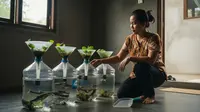 6 Tips Budidaya Lele Modal Kecil Pakai 4 Galon, Setahun Jalan Sudah Berhasil