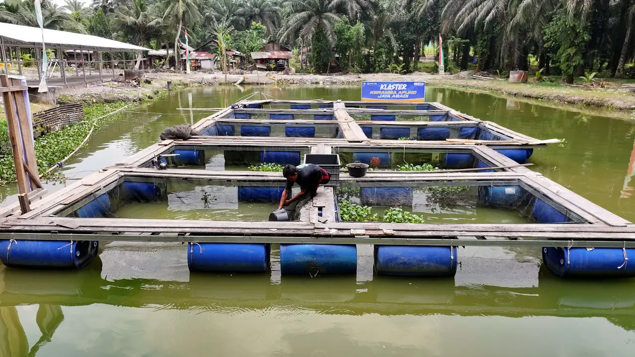 Ekonomi Desa Empang Baru Kabupaten Siak Kian Menggeliat Berkat Dukungan BRI