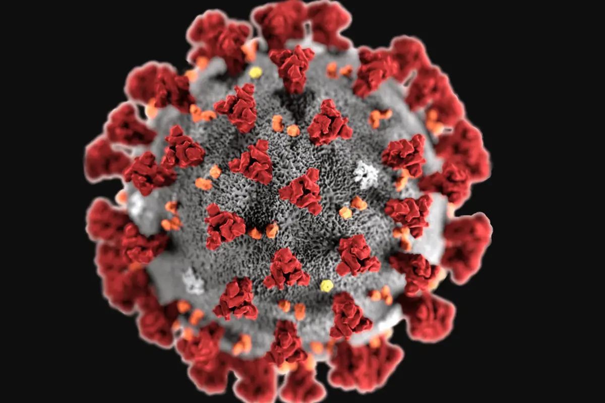 Ilustrasi Virus Corona 2019-nCoV (Public Domain/Centers for Disease Control and Prevention's Public Health Image)