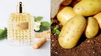 Perusahaan Ini Produksi Parfum Beraroma Kentang Goreng, Bikin Penasaran (Sumber: Instagram/idahopotatoes, Pixabay)
