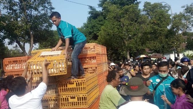Asosiasi Pengusaha Ayam Yogyakarta (Apayo) membagikan ayam 5000 ekor secara gratis di empat titik di Kota Yogyakarta. (Liputan6.com/ Yanuar H)