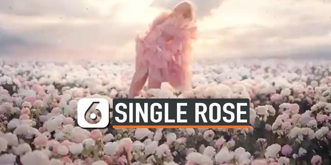 VIDEO: 'On The Ground' Rose BLACKPINK Rajai Tangga Lagu Youtube