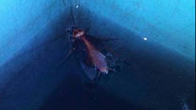 Bikin Elus Dada, 6 Potret Kamar Mandi Tak Terawat