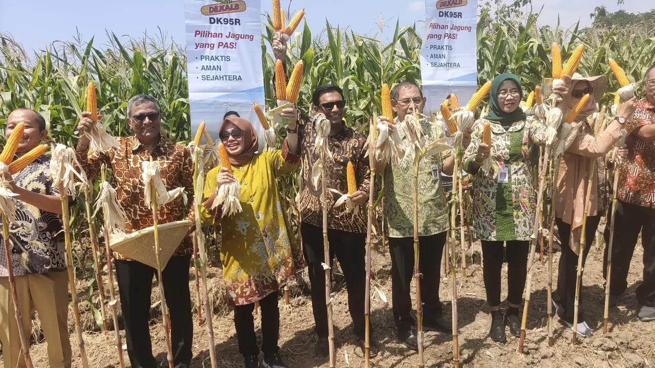 Bayer Regional Asia Pasific, Srinath Bala, Deputi Bidang Koordinasi Pangan dan Agribisnis Menko Perekonomian, Musdhalifah Machmud, dan Presiden Direktur Bayer Indonesia, Kinshuk Kunwar meninjau Juwiring Agriculture Research and Academy, Juwiring, Klaten,