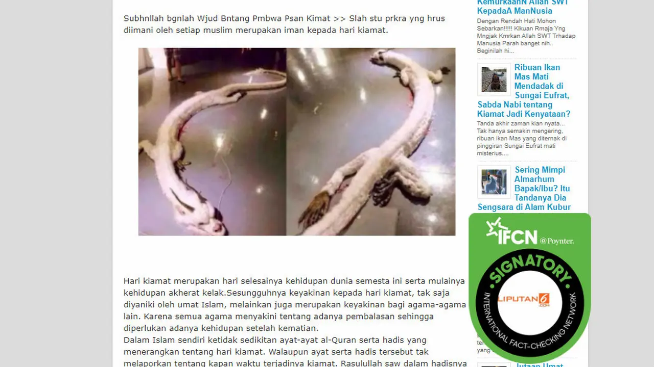 [Cek Fakta] Foto Binatang Pembawa Pesan Kiamat Dabbah di Israel, Faktanya?