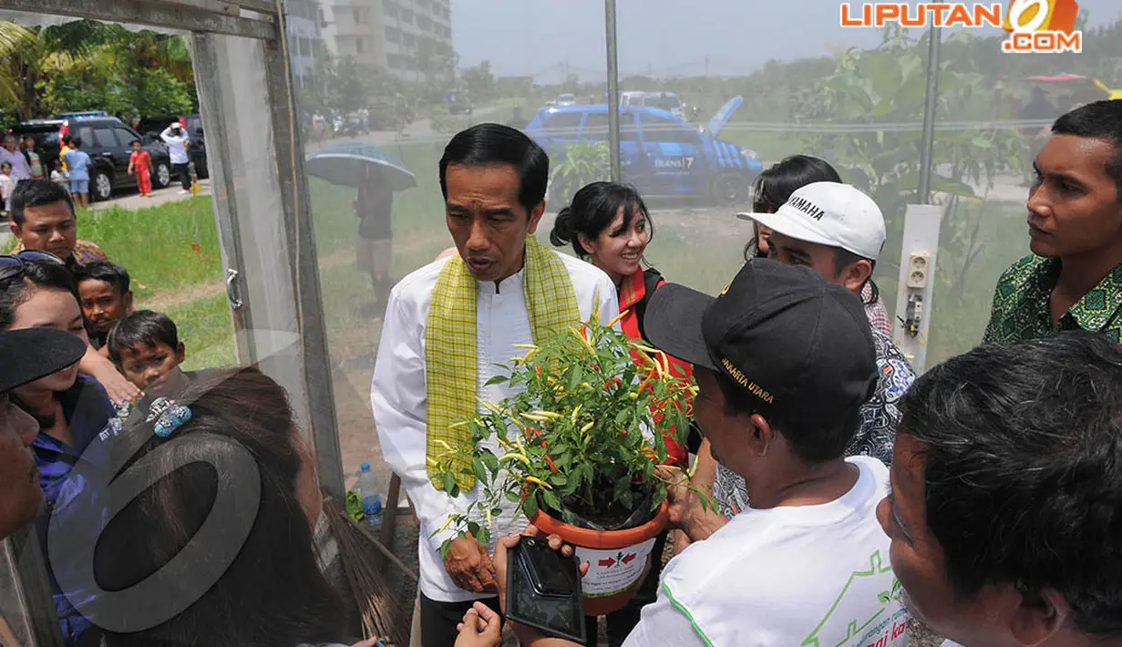Menurut Jokowi, terlalu lama jika pembangunan rumah untuk bercocok tanam dengan media air itu menunggu APBD, Jakarta, Jumat (11/4/2014) (Liputan6.com/Herman Zakharia).