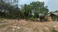 Puluhan makam palsu dibongkar warga di Citepus, Pelabuhanratu, Kabupaten Sukabumi (Liputan6.com/Fira Syahrin).