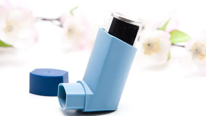 (c) shutterstock.com