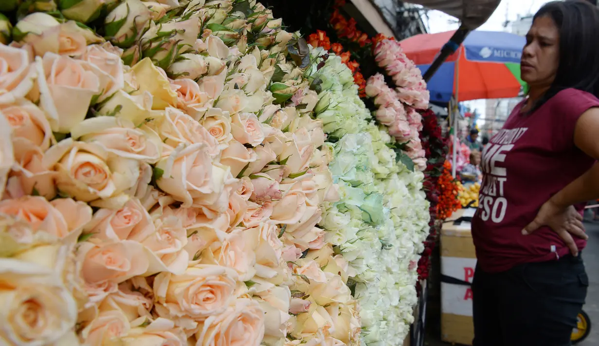 Seorang pembeli melihat bunga mawar yang dijajakan di sebuah kios sehari sebelum Valentine Day di Manila, Filipina, Rabu (13/2). Sudah tradisi di seluruh dunia, setiap hari valentine identik dengan pemberian bunga atau coklat. (TED ALJIBE/AFP)