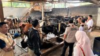 Satgas Pangan Polri mengecek industri pengolahan susu segar di Jawa Timur dan Jawa Tengah. (Foto: Istimewa)