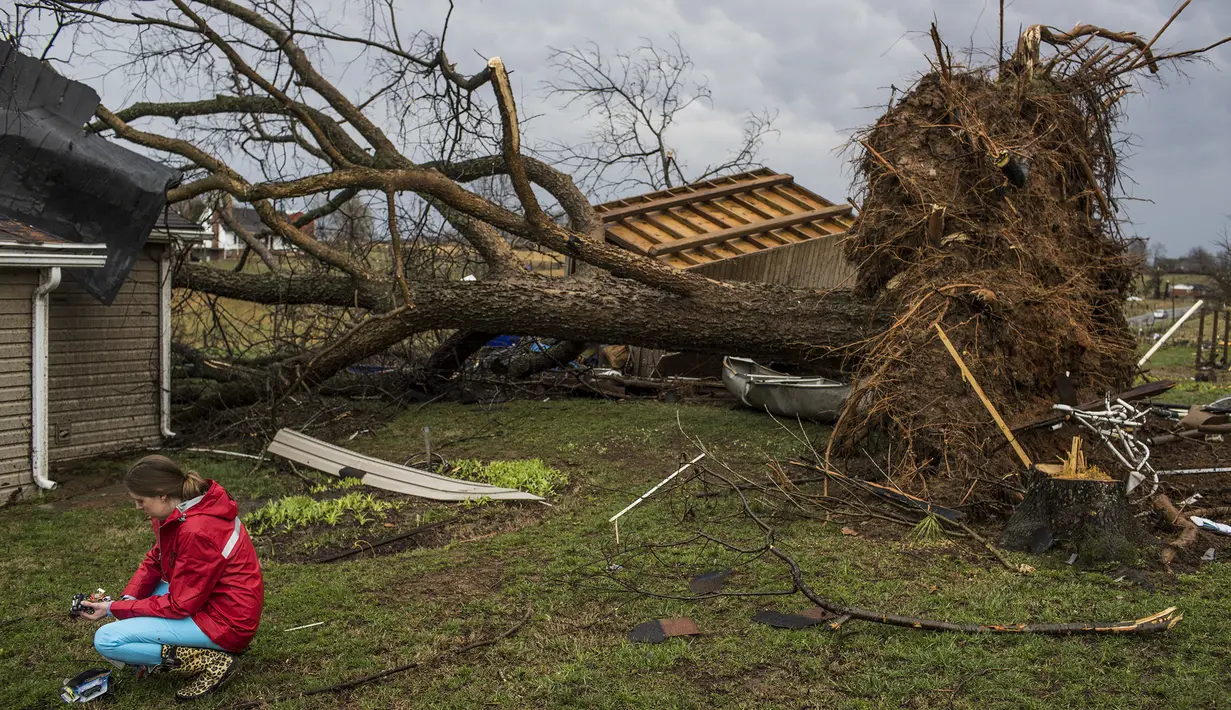 Sebuah pohon tumbang usai dihantam badai di Warren County, AS, Rabu (1/3). Sejumlah rumah rusak berat usai dihantam badai yang dikenal dengan istilah supercells itu. (AP Photo/ Austin Anthony)