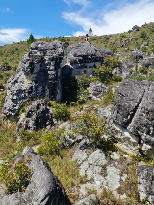 Ekspedisi Puncak Trikora.