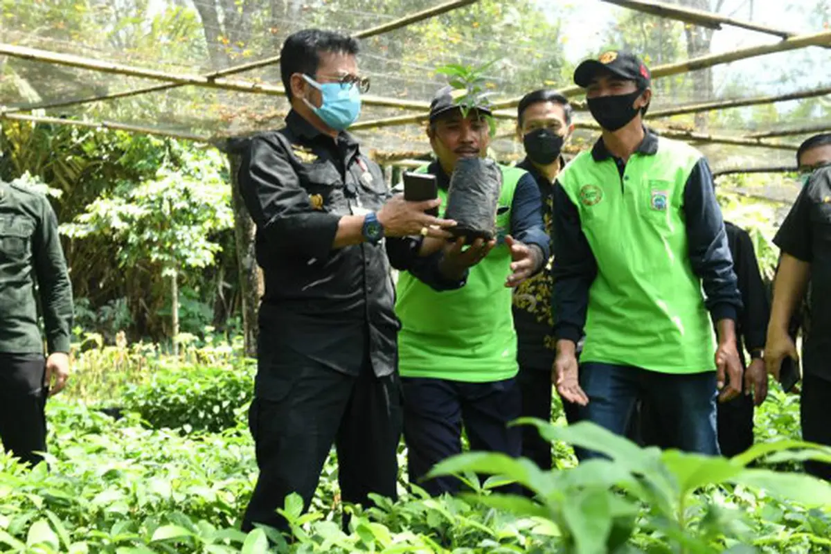 Mentan Syahrul Dorong Malang Jadi Penghasil Alpukat Berkualitas