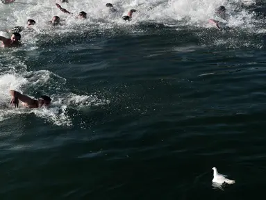 Seekor merpati mengapung di atas air saat pria berenang untuk mengambil salib kayu yang dilemparkan ke laut saat restu upacara air menandai hari Epiphany Orthodox, di pelabuhan Thessaloniki, Yunani utara, (6/1). (AFP Photo/Sakis Mitrolidis)
