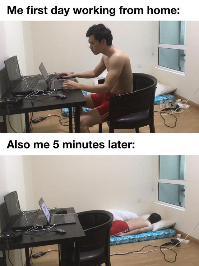 7 Meme Work From Home Bikin Lebih Semangat Kerja Dari Rumah