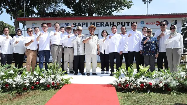 Sinergi BRI dalam Program Sapi Merah Putih Dukung Swasembada Pangan Nasional