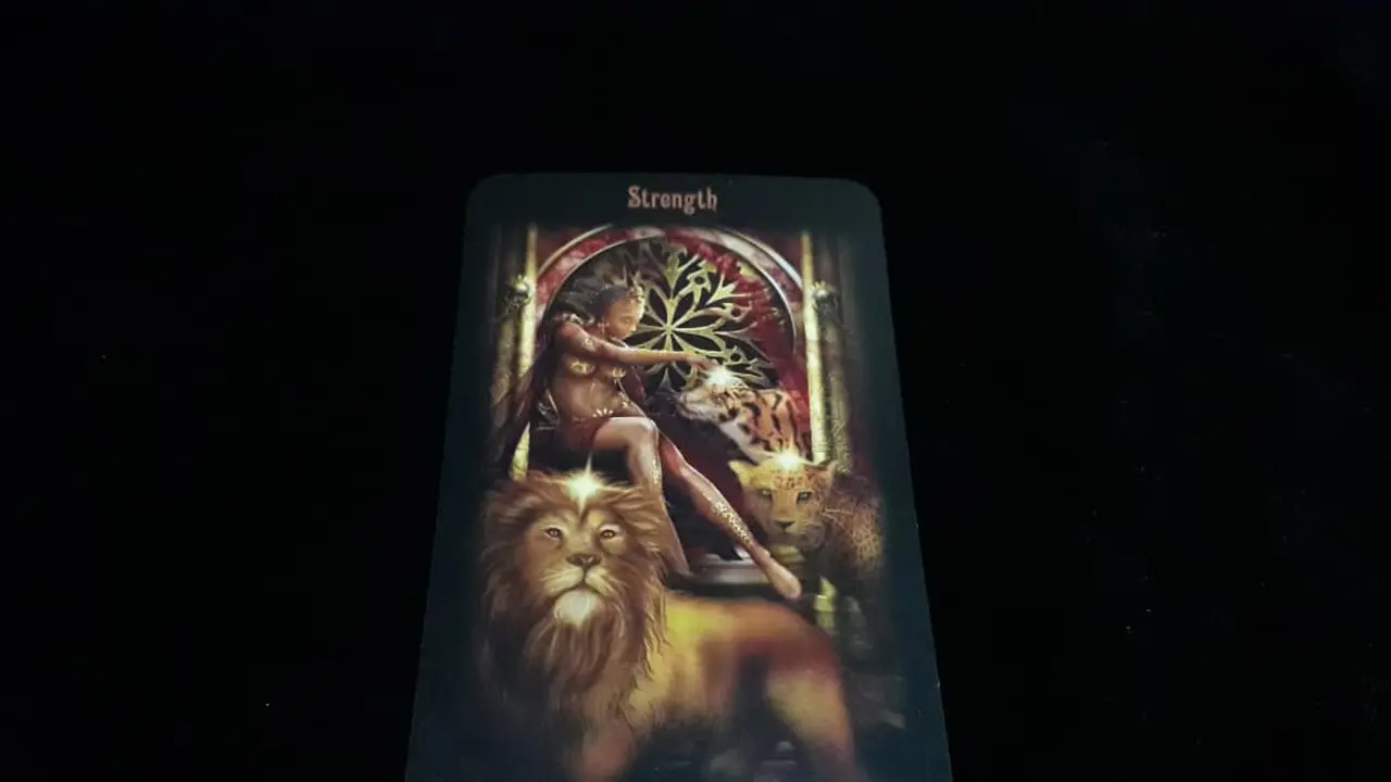Tarot