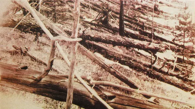 Dampak insiden Tunguska