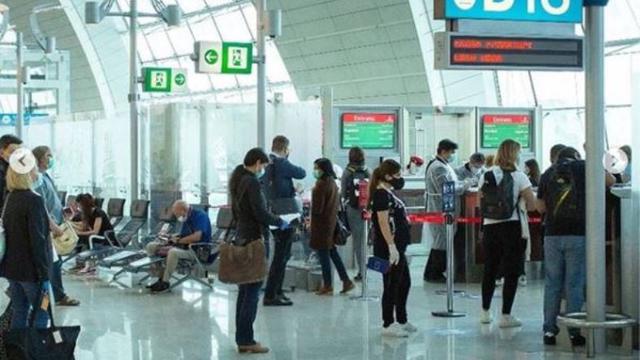 Bandara Dubai Gunakan Anjing untuk Lacak Penumpang Terinfeksi Covid-19